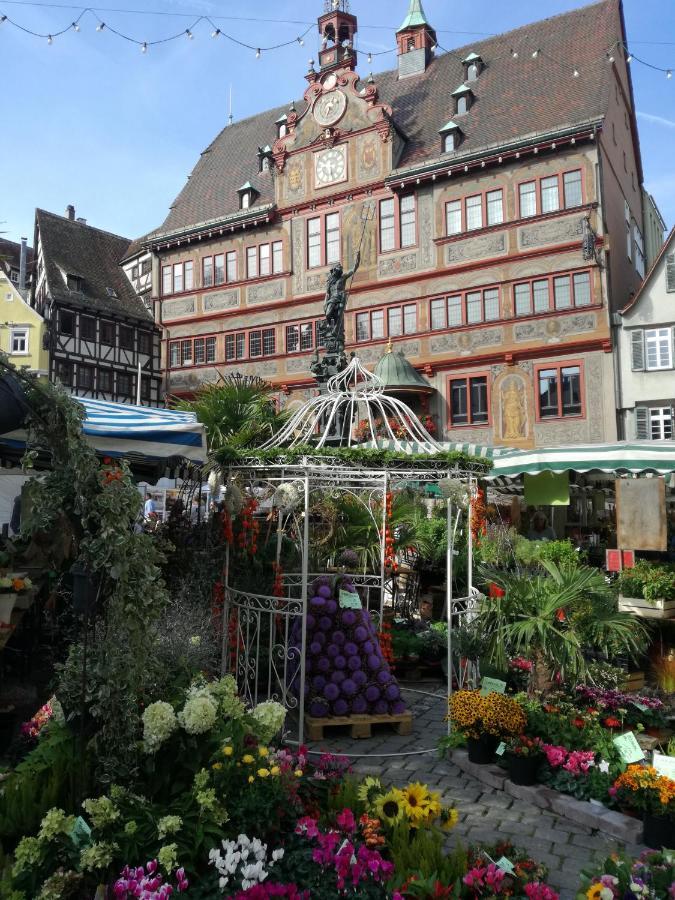 Schoene, Grosse Ferienwohnung In Waldenbuch, Nahe Stuttgart Messe, Boeblingen, Sindelfingen Exteriér fotografie